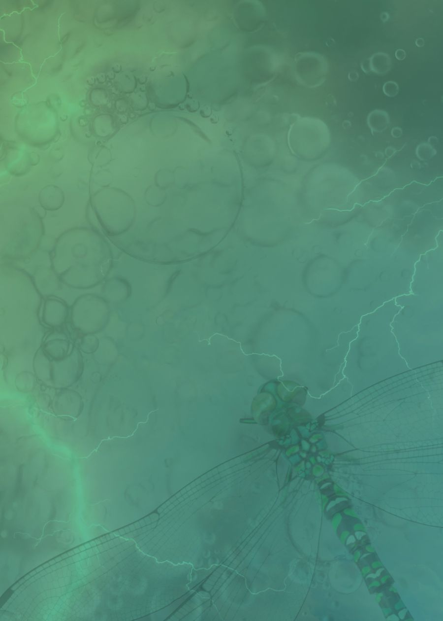 banner-img